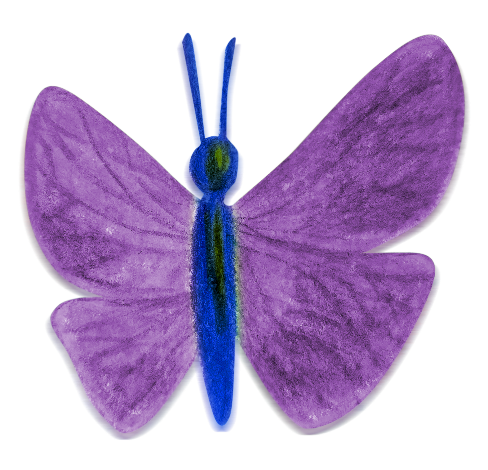 Borboleta decorativa