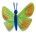 Borboleta amarela